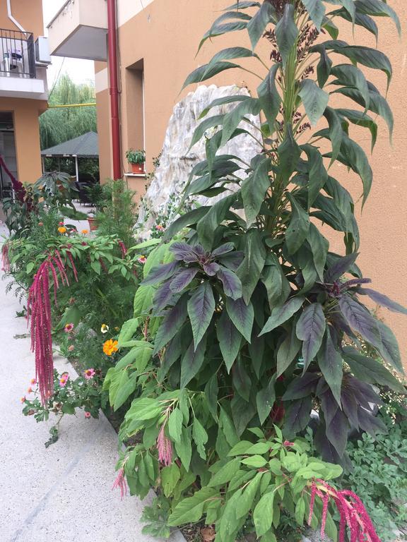 Vilele Liliana Năvodari Exterior foto